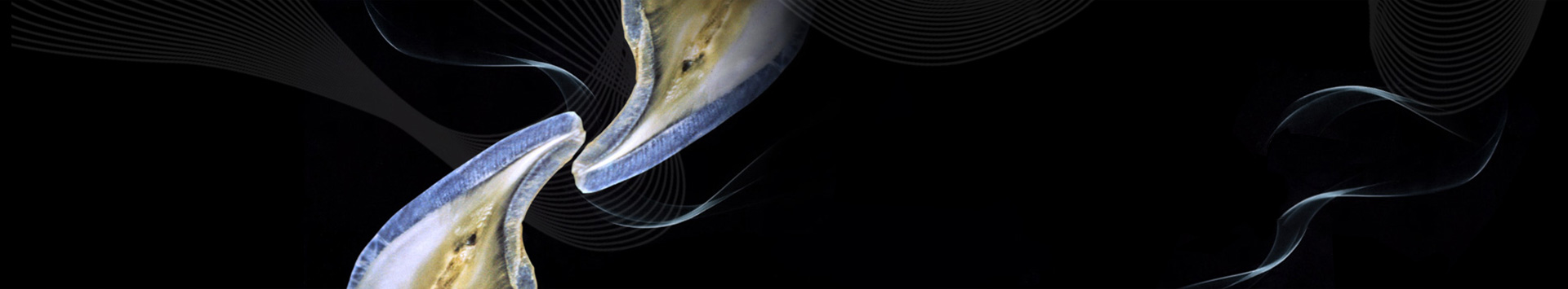 WE USE LATEST TECHNOLOGY TO ENHANCE YOUR NATURAL BEAUTY